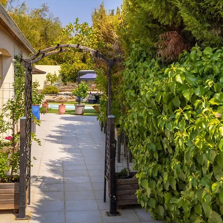 Climatisee, Piscine Et Espace Guinguette